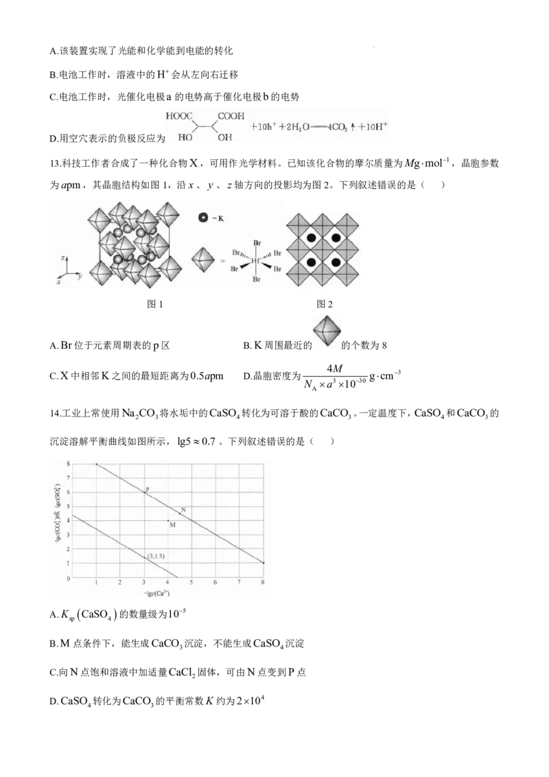 华大新高考联盟2025届高三11月教学质量测评化学试卷+答案_2024-2025高三（6-6月题库）_2024年12月试卷_1201华大新高考联盟2025届高三11月教学质量测评（全科）