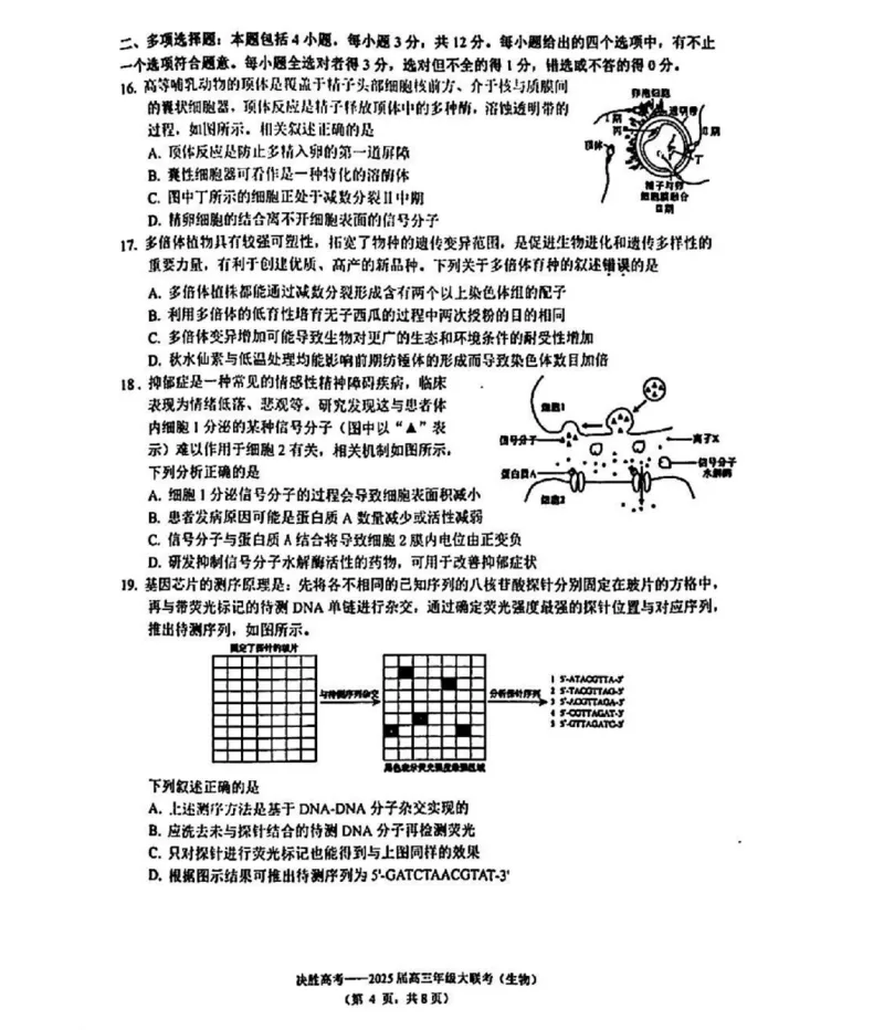 江苏省苏州市九校决胜高考2025届高三2月联考-生物试题_2024-2025高三（6-6月题库）_2025年02月试卷_0222江苏省苏州市九校决胜高考2025届高三2月联考（2.17-2.18）