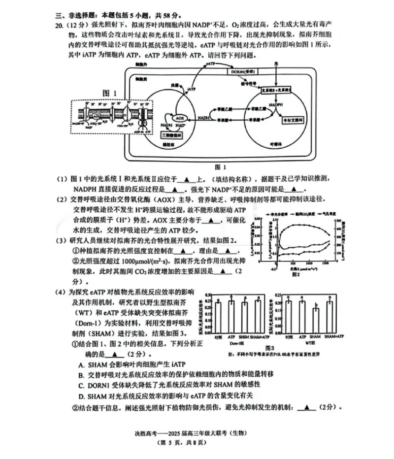 江苏省苏州市九校决胜高考2025届高三2月联考-生物试题_2024-2025高三（6-6月题库）_2025年02月试卷_0222江苏省苏州市九校决胜高考2025届高三2月联考（2.17-2.18）