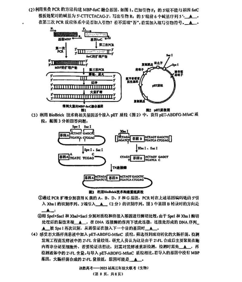 江苏省苏州市九校决胜高考2025届高三2月联考-生物试题_2024-2025高三（6-6月题库）_2025年02月试卷_0222江苏省苏州市九校决胜高考2025届高三2月联考（2.17-2.18）
