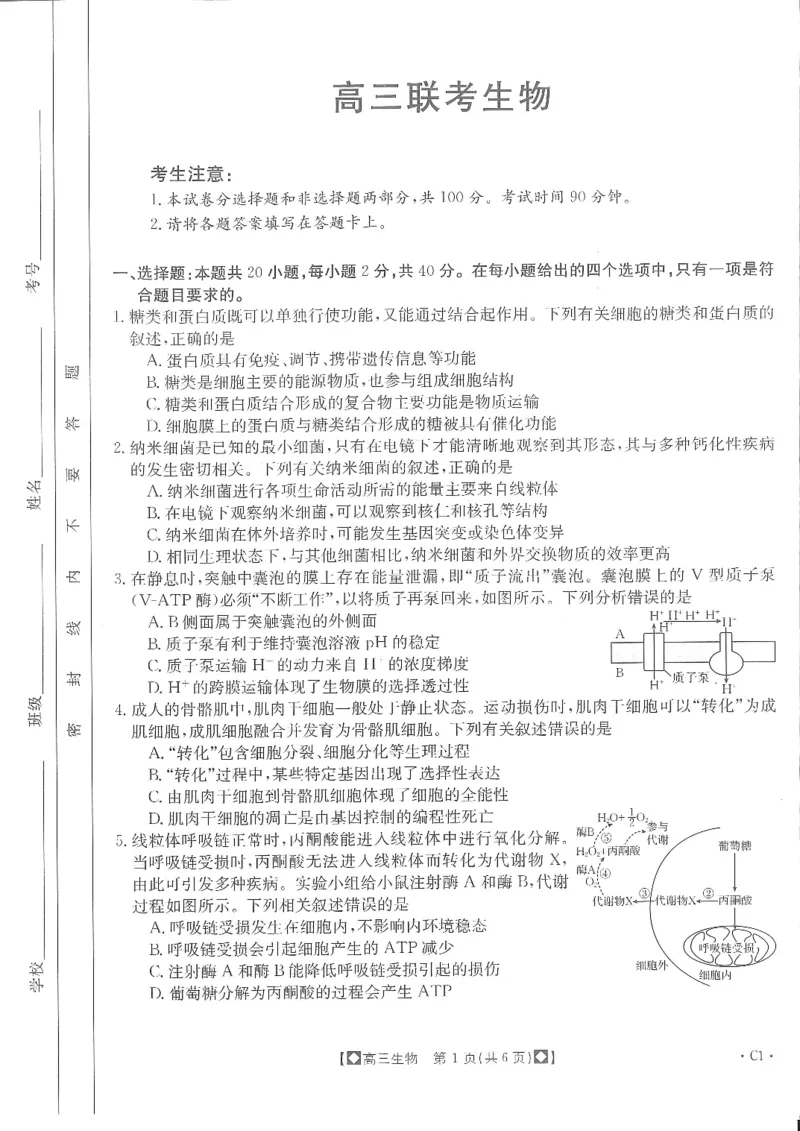 高三联考生物(1)_2023年11月_0211月合集_2024届陕西省商洛市高三上学期11月金太阳期中考试_陕西省商洛市2024届高三上学期11月金太阳期中考试生物