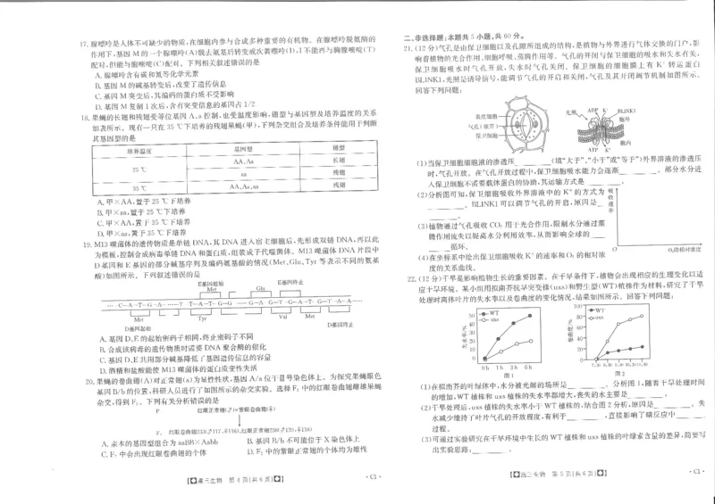 高三联考生物(1)_2023年11月_0211月合集_2024届陕西省商洛市高三上学期11月金太阳期中考试_陕西省商洛市2024届高三上学期11月金太阳期中考试生物
