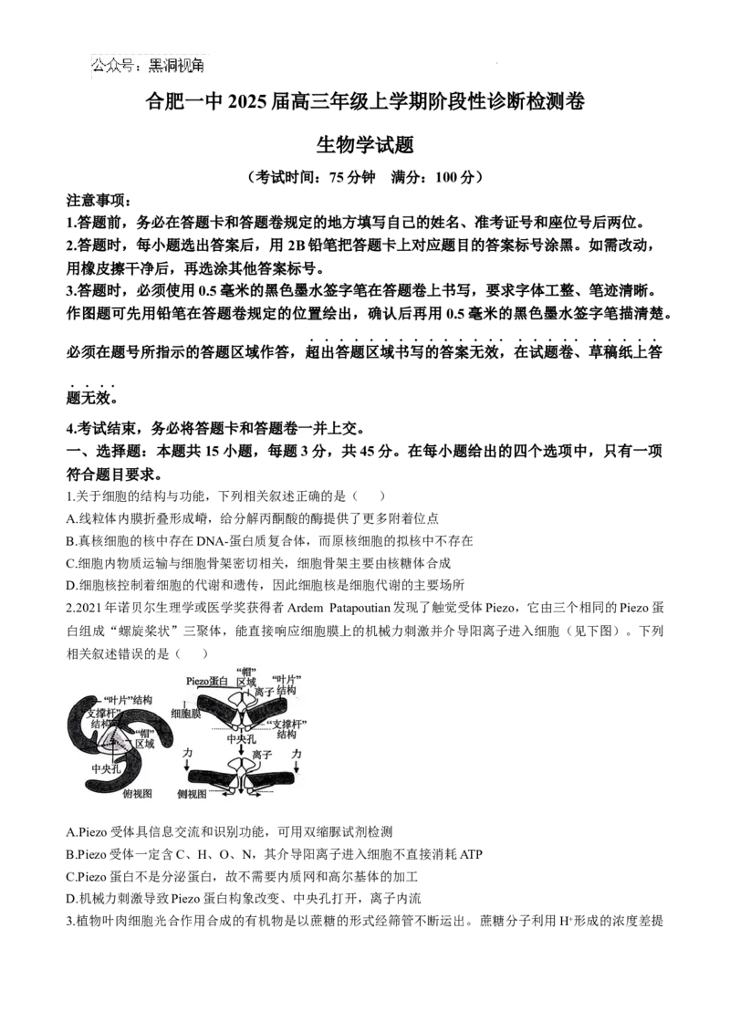 安徽省十联考合肥市第一中学等校2025届高三上学期阶段性诊断检测生物+答案_2024-2025高三（6-6月题库）_2025年01月试卷