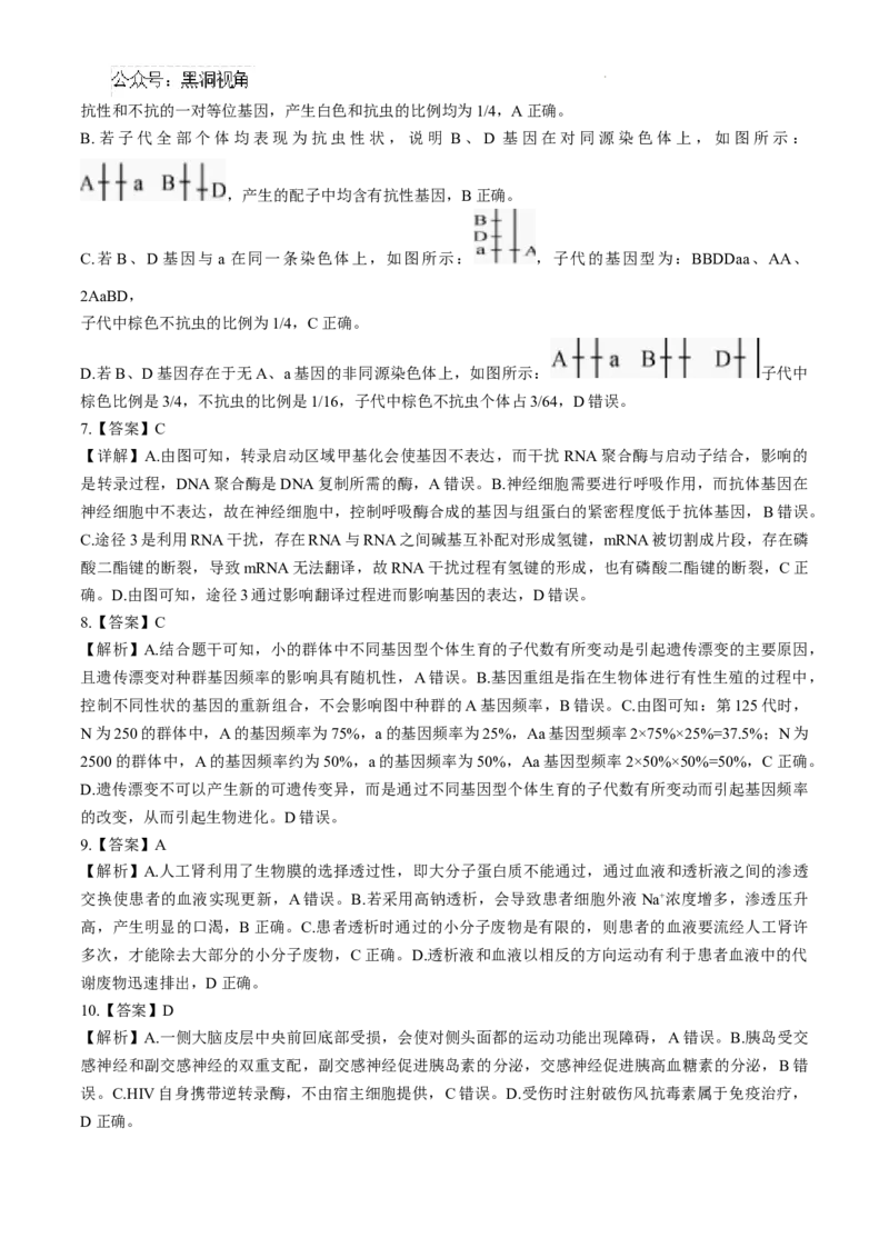 安徽省十联考合肥市第一中学等校2025届高三上学期阶段性诊断检测生物+答案_2024-2025高三（6-6月题库）_2025年01月试卷