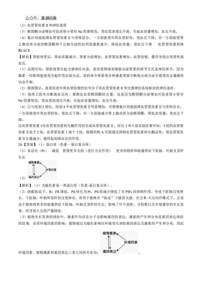 安徽省十联考合肥市第一中学等校2025届高三上学期阶段性诊断检测生物+答案_2024-2025高三（6-6月题库）_2025年01月试卷