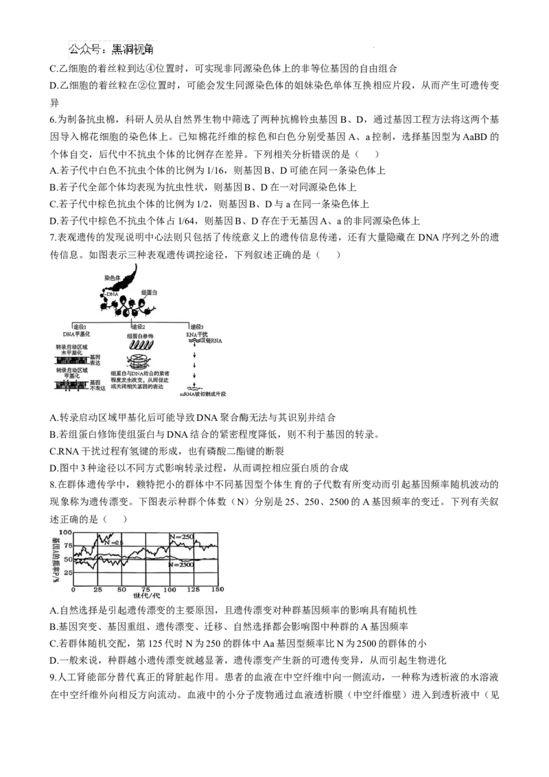安徽省十联考合肥市第一中学等校2025届高三上学期阶段性诊断检测生物+答案_2024-2025高三（6-6月题库）_2025年01月试卷