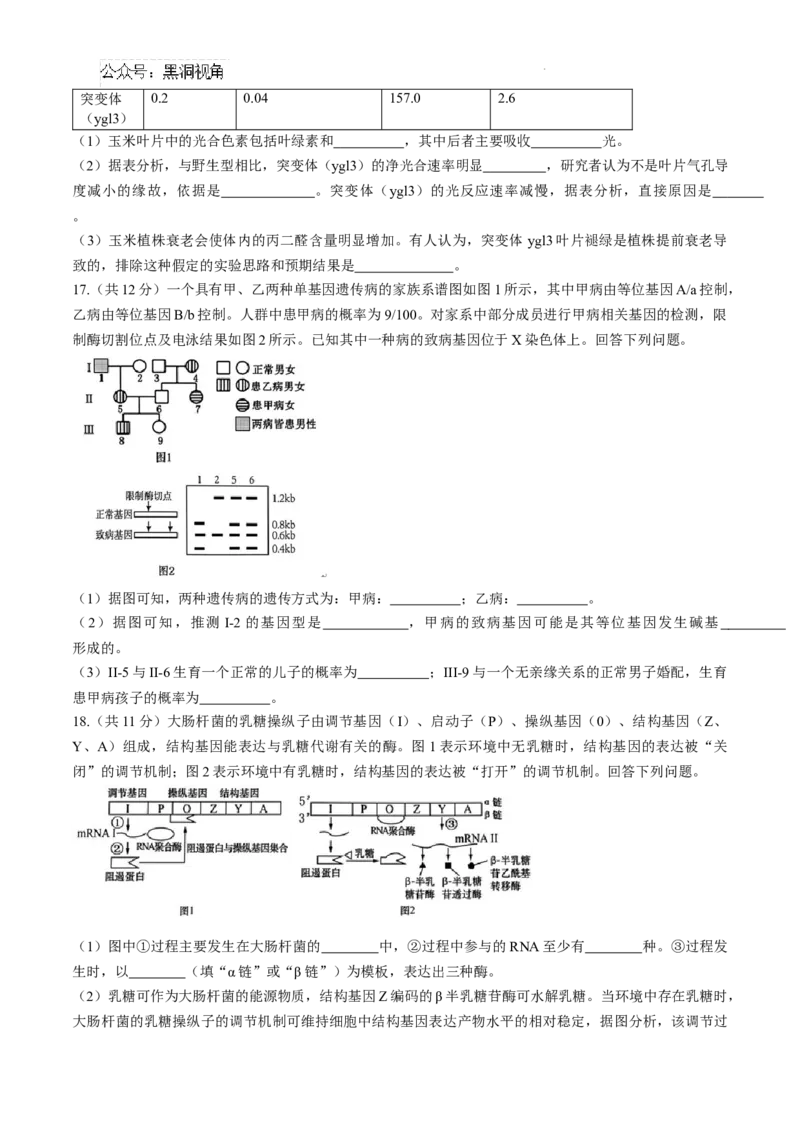 安徽省十联考合肥市第一中学等校2025届高三上学期阶段性诊断检测生物+答案_2024-2025高三（6-6月题库）_2025年01月试卷