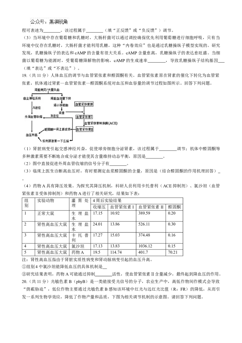 安徽省十联考合肥市第一中学等校2025届高三上学期阶段性诊断检测生物+答案_2024-2025高三（6-6月题库）_2025年01月试卷