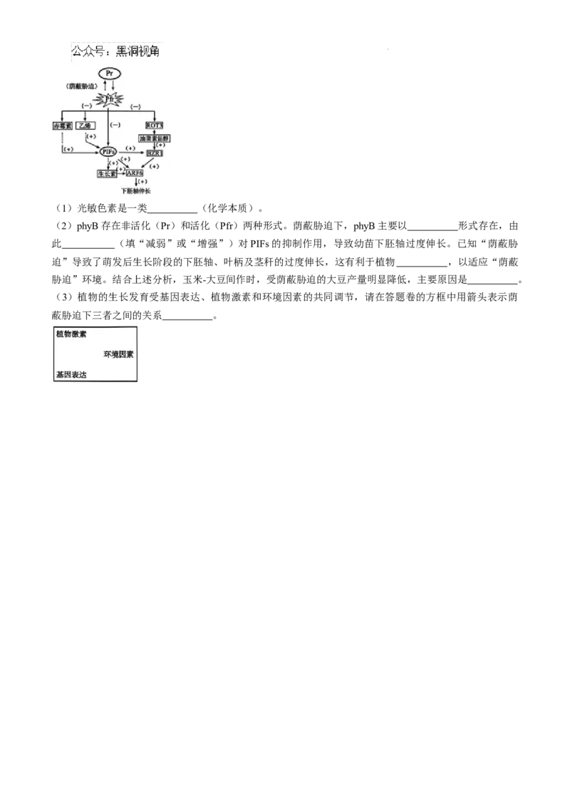 安徽省十联考合肥市第一中学等校2025届高三上学期阶段性诊断检测生物+答案_2024-2025高三（6-6月题库）_2025年01月试卷