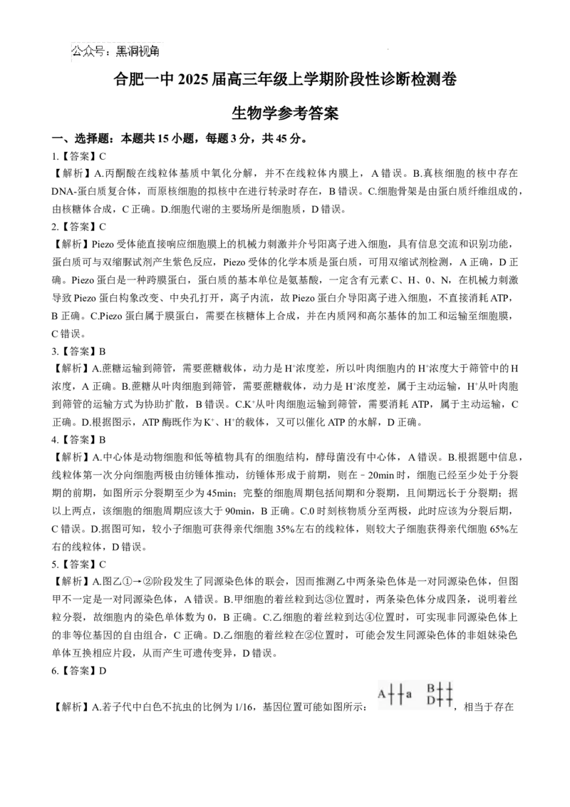 安徽省十联考合肥市第一中学等校2025届高三上学期阶段性诊断检测生物+答案_2024-2025高三（6-6月题库）_2025年01月试卷