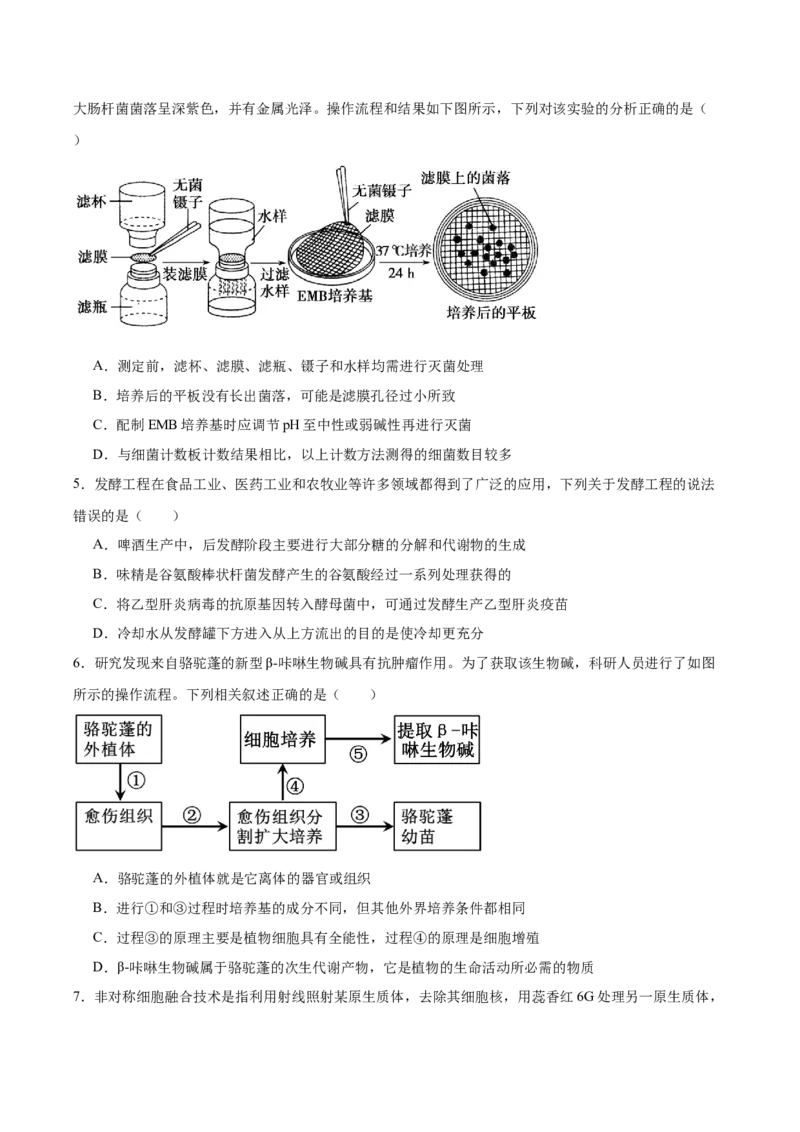 四川省绵阳南山中学2024-2025学年高二下学期4月期中考试生物Word版含答案_2024-2025高二（7-7月题库）_2025年6月试卷_0602四川省绵阳南山中学2024-2025学年高二下学期4月期中考试