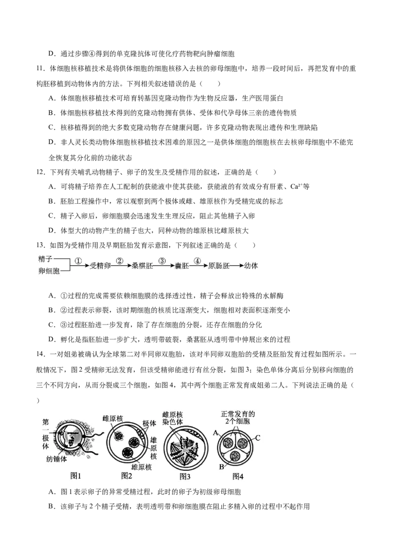 四川省绵阳南山中学2024-2025学年高二下学期4月期中考试生物Word版含答案_2024-2025高二（7-7月题库）_2025年6月试卷_0602四川省绵阳南山中学2024-2025学年高二下学期4月期中考试