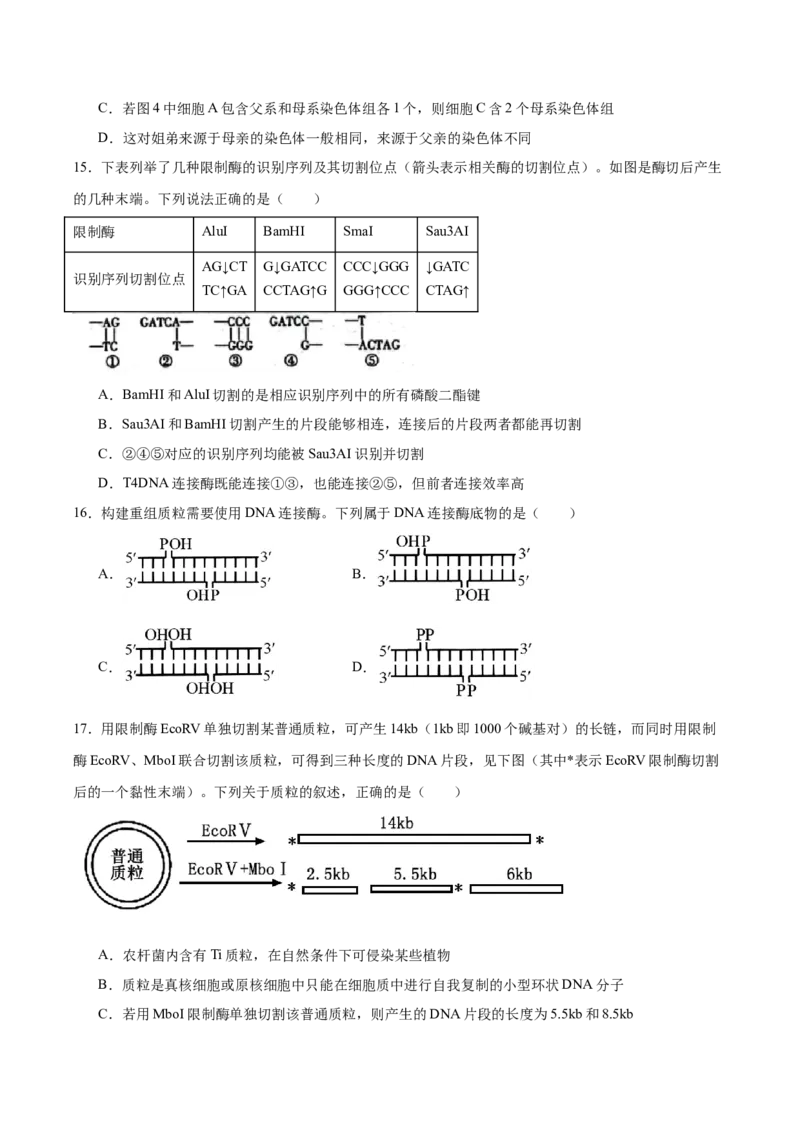 四川省绵阳南山中学2024-2025学年高二下学期4月期中考试生物Word版含答案_2024-2025高二（7-7月题库）_2025年6月试卷_0602四川省绵阳南山中学2024-2025学年高二下学期4月期中考试