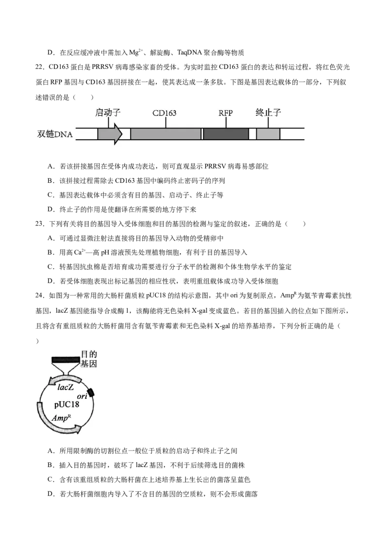 四川省绵阳南山中学2024-2025学年高二下学期4月期中考试生物Word版含答案_2024-2025高二（7-7月题库）_2025年6月试卷_0602四川省绵阳南山中学2024-2025学年高二下学期4月期中考试