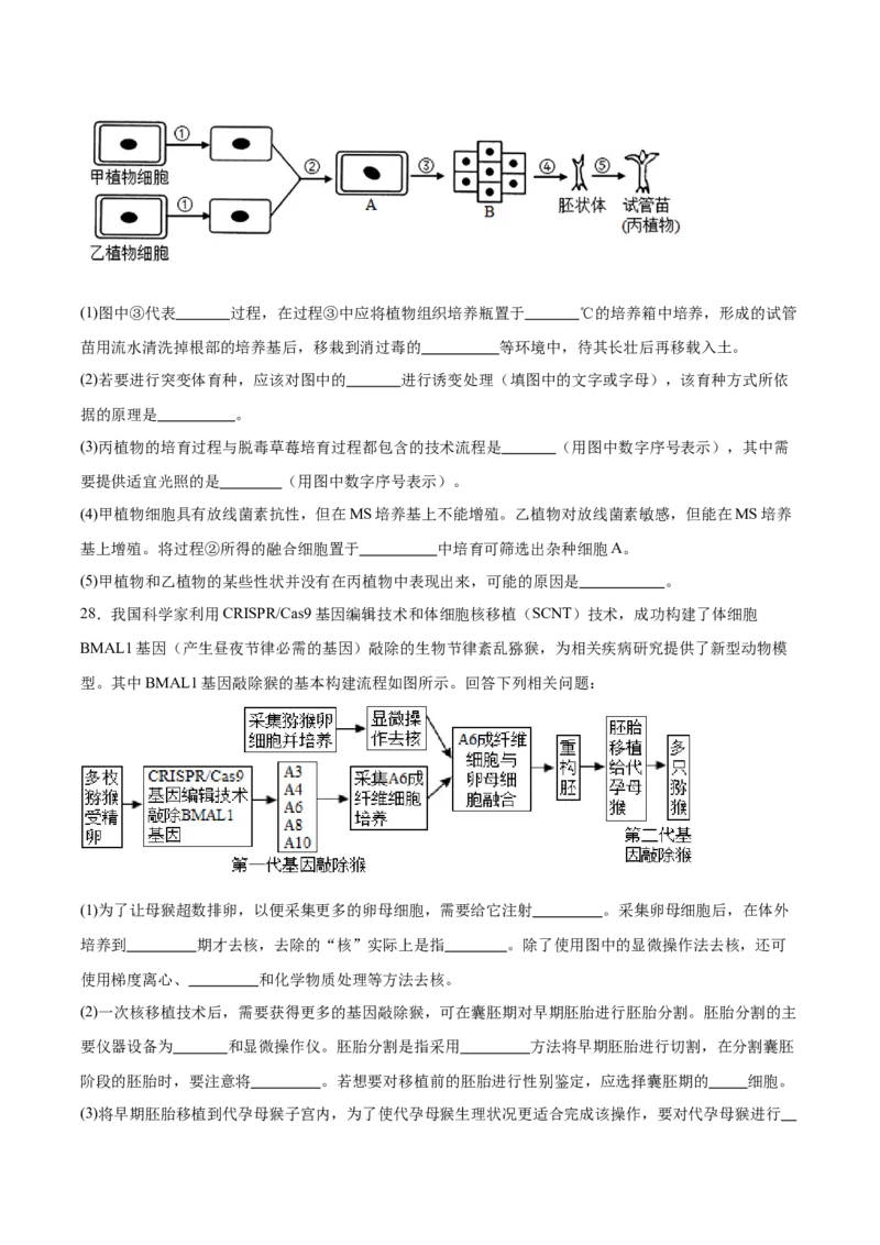 四川省绵阳南山中学2024-2025学年高二下学期4月期中考试生物Word版含答案_2024-2025高二（7-7月题库）_2025年6月试卷_0602四川省绵阳南山中学2024-2025学年高二下学期4月期中考试