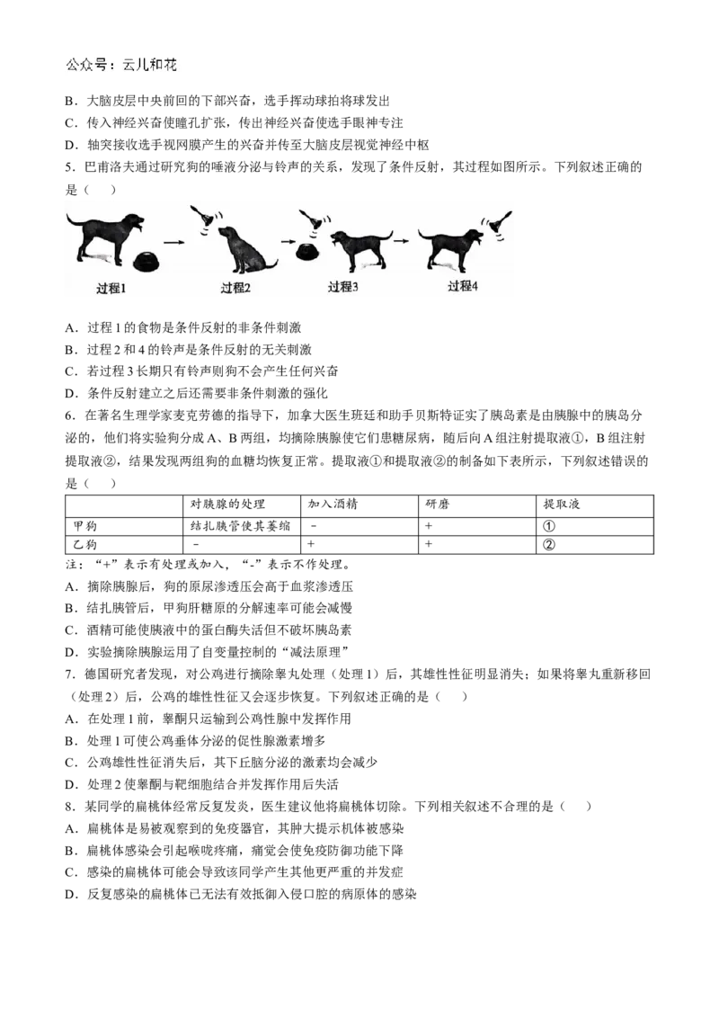 河南省南阳市六校2024-2025学年高二上学期10月期中考试生物Word版含解析_2024-2025高二（7-7月题库）_2024年11月试卷_1107河南省南阳市六校2024-2025学年高二上学期10月期中考试