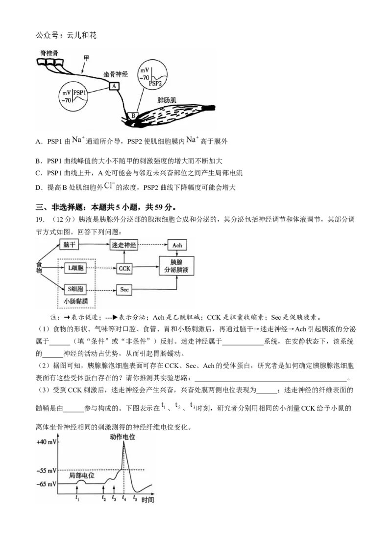 河南省南阳市六校2024-2025学年高二上学期10月期中考试生物Word版含解析_2024-2025高二（7-7月题库）_2024年11月试卷_1107河南省南阳市六校2024-2025学年高二上学期10月期中考试