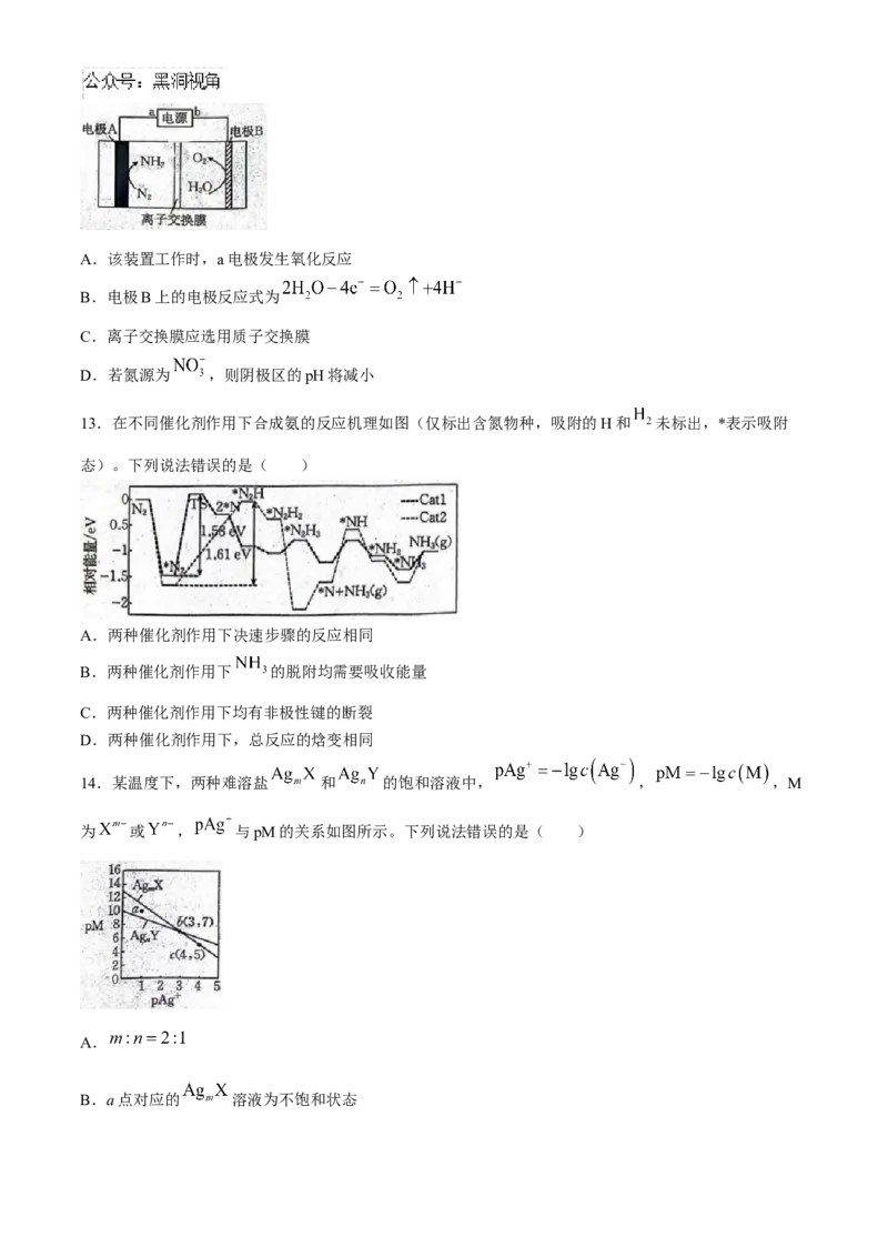 河北金太阳2024-2025学年高三上学期开学考试（24-05C）化学试题（含答案）_2024-2025高三（6-6月题库）_2024年09月试卷_0904河北金太阳2024-2025学年高三上学期开学考试（24-05C）