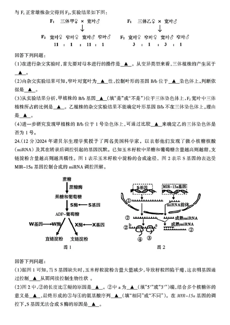 浙江省舟山市2024&mdash;2025学年高二上学期期末检测生物试题_2024-2025高二（7-7月题库）_2025年03月试卷_0303浙江省舟山市2024-2025学年高二上学期期末考试