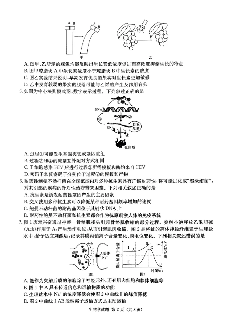 生物试题_2024年5月_01按日期_23号_2024届湖南省炎德英才高三5月考前仿真联考二_湖南省炎德2024届高三下学期5月高考考前仿真联考二生物