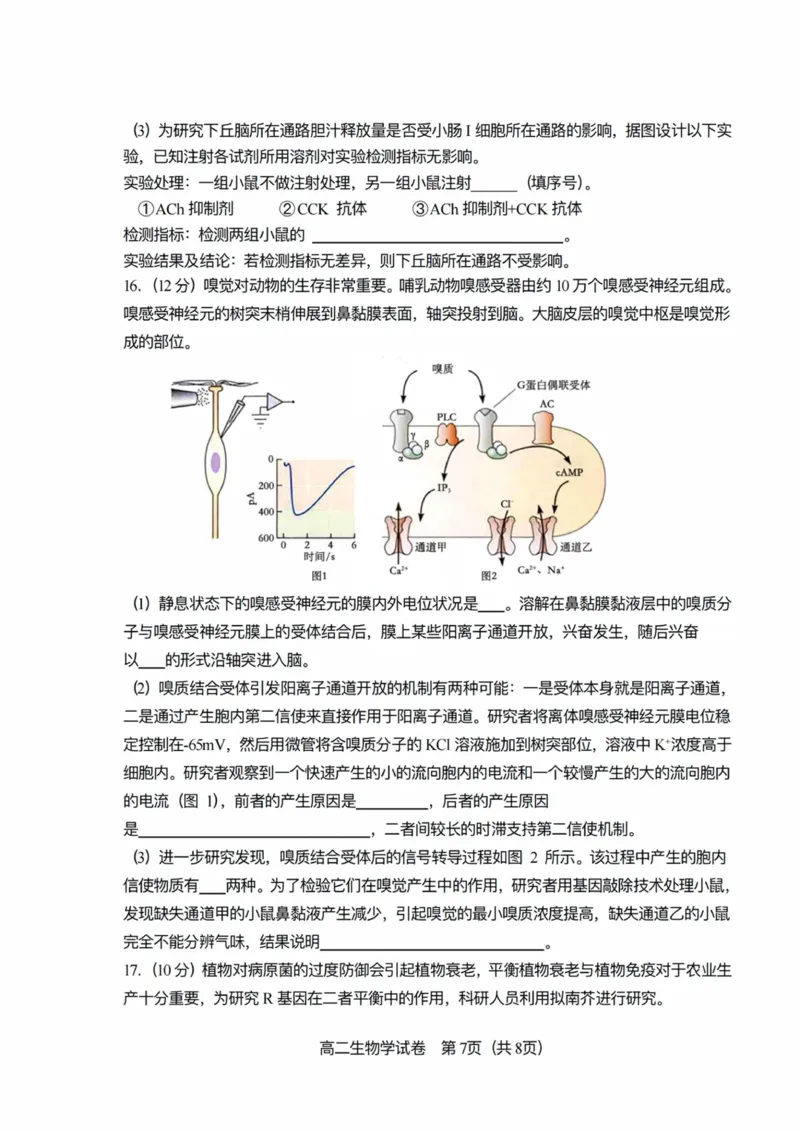 天津市河东区2024-2025学年高二上学期1月期末考试生物PDF版含答案_2024-2025高二（7-7月题库）_2025年02月试卷_0206天津市河东区2024-2025学年高二上学期1月期末考试