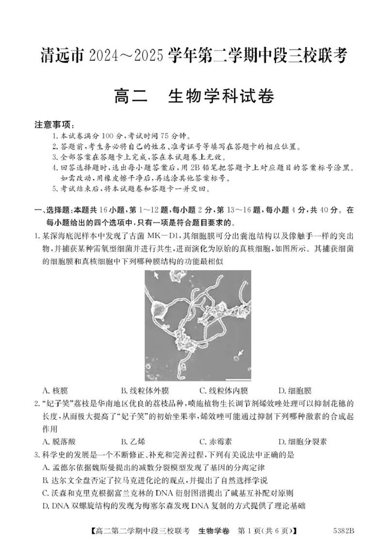 广东省清远市三校2024-2025学年高二下学期期中联考试题生物PDF版含解析_2024-2025高二（7-7月题库）_2025年05月试卷_0519广东省清远市三校2024-2025学年高二下学期期中联考试题