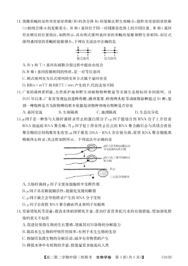 广东省清远市三校2024-2025学年高二下学期期中联考试题生物PDF版含解析_2024-2025高二（7-7月题库）_2025年05月试卷_0519广东省清远市三校2024-2025学年高二下学期期中联考试题