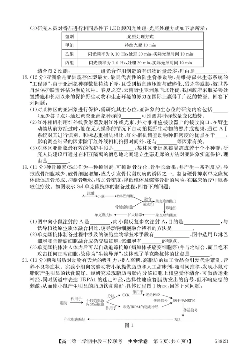 广东省清远市三校2024-2025学年高二下学期期中联考试题生物PDF版含解析_2024-2025高二（7-7月题库）_2025年05月试卷_0519广东省清远市三校2024-2025学年高二下学期期中联考试题