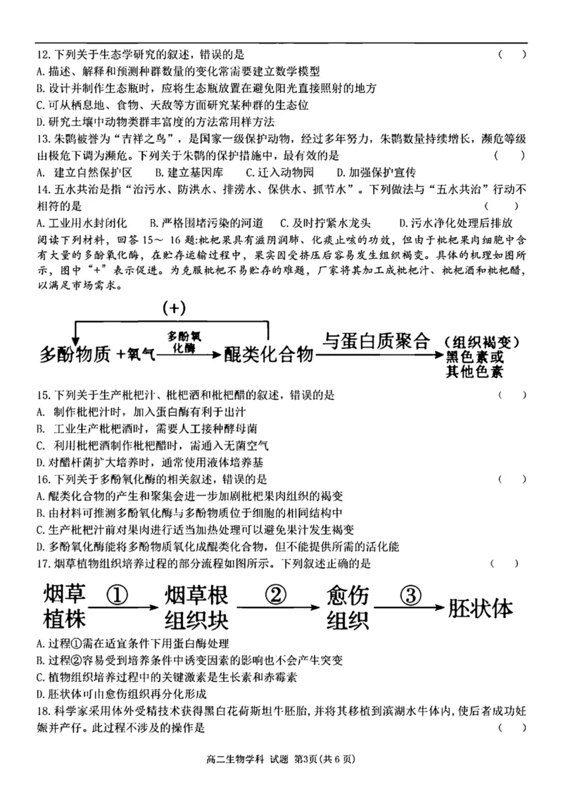 浙江省温州新力量联盟2024-2025学年高二下学期4月期中联考生物试卷（图片版，含答案）_2024-2025高二（7-7月题库）_2025年05月试卷
