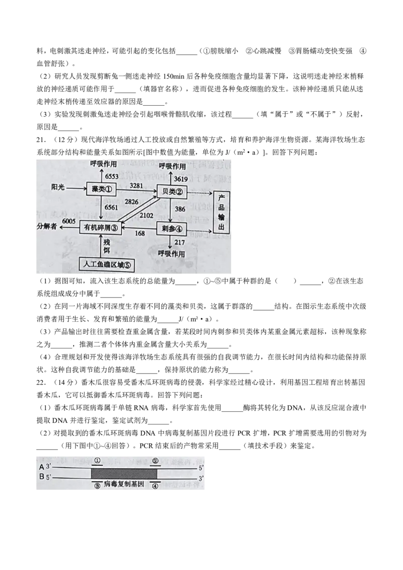 河北省石家庄市2025届高三上学期教学质量摸底检测生物试题_2024-2025高三（6-6月题库）_2024年11月试卷_11072025届河北省石家庄市普通高中学校高三质检摸底检测试题