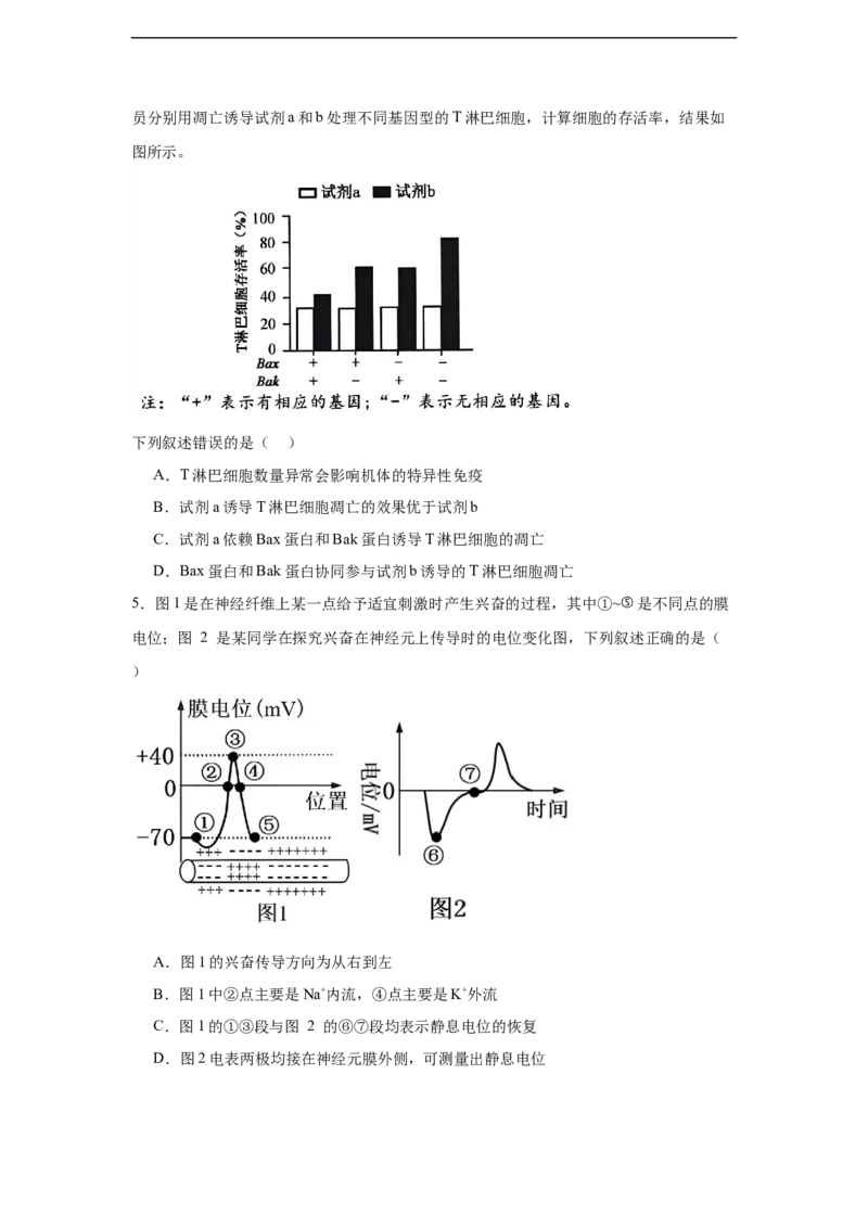 湖南省岳阳市汨罗市第二中学2025-2026学年高二上学期12月月考生物试题（含答案）_2024-2025高二（7-7月题库）_2026年1月高二_789