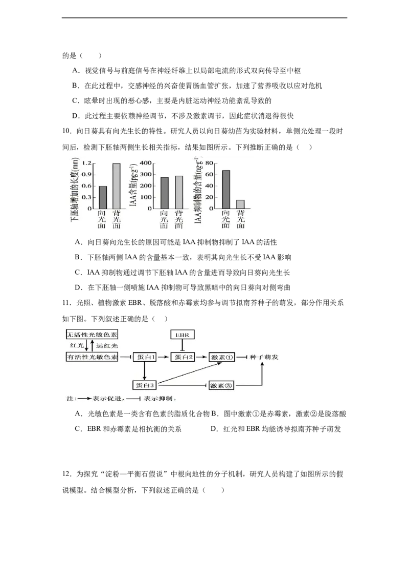 湖南省岳阳市汨罗市第二中学2025-2026学年高二上学期12月月考生物试题（含答案）_2024-2025高二（7-7月题库）_2026年1月高二_789