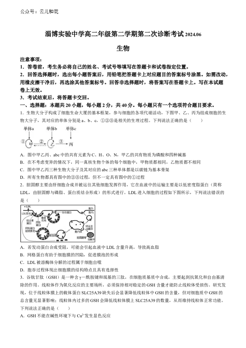 山东省淄博市张店区淄博实验中学2023-2024学年高二下学期6月月考生物试题（含答案）_2024-2025高二（7-7月题库）_2024年07月试卷