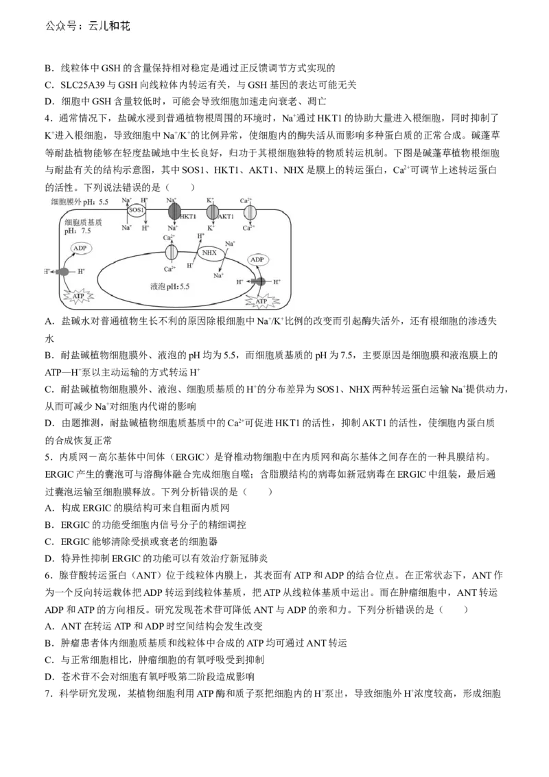 山东省淄博市张店区淄博实验中学2023-2024学年高二下学期6月月考生物试题（含答案）_2024-2025高二（7-7月题库）_2024年07月试卷