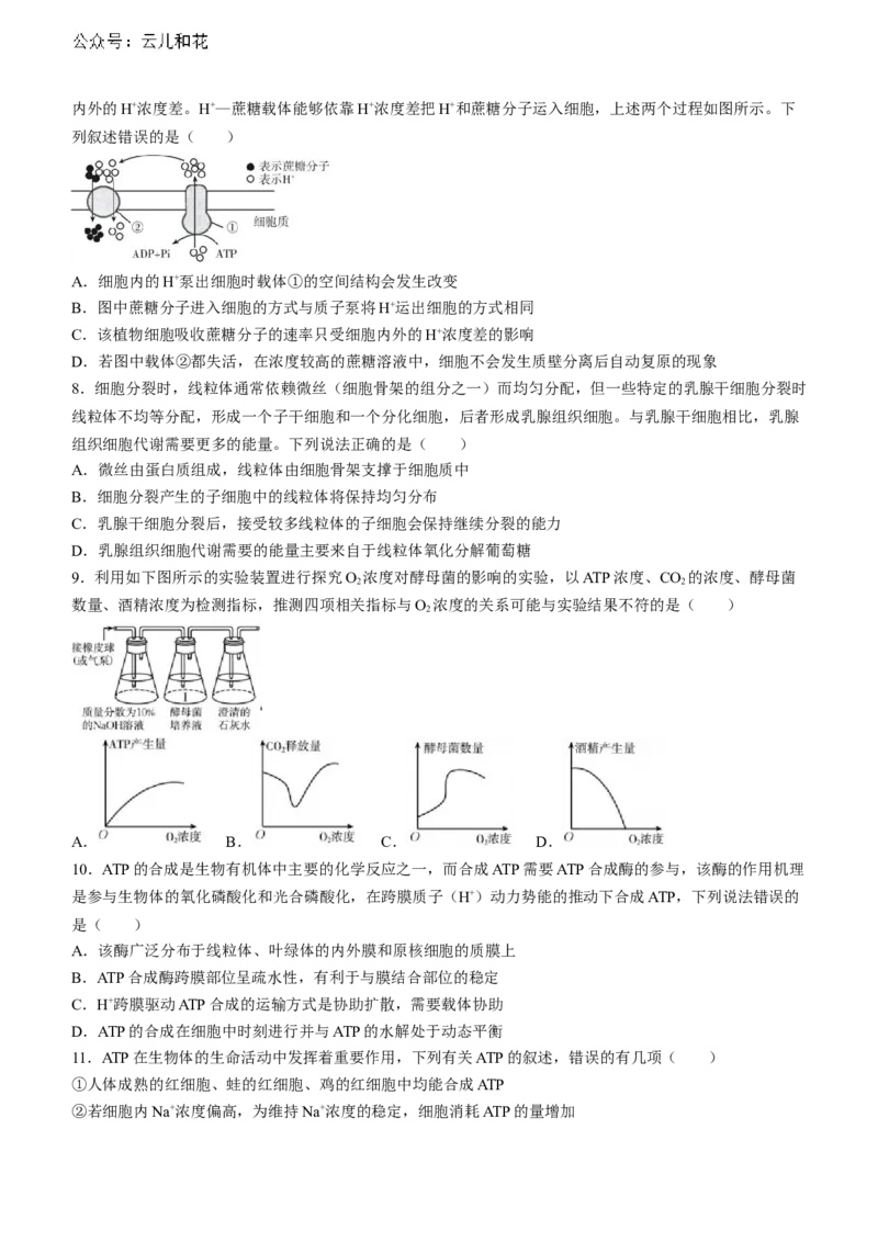 山东省淄博市张店区淄博实验中学2023-2024学年高二下学期6月月考生物试题（含答案）_2024-2025高二（7-7月题库）_2024年07月试卷