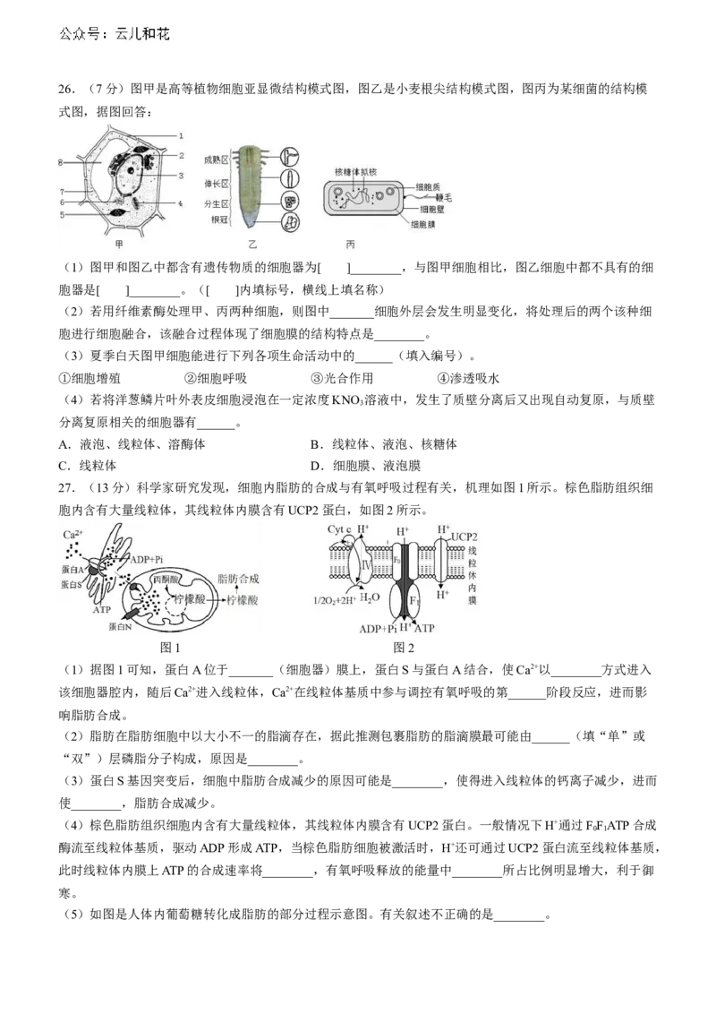 山东省淄博市张店区淄博实验中学2023-2024学年高二下学期6月月考生物试题（含答案）_2024-2025高二（7-7月题库）_2024年07月试卷