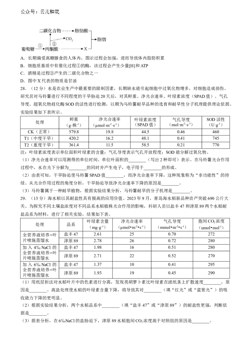 山东省淄博市张店区淄博实验中学2023-2024学年高二下学期6月月考生物试题（含答案）_2024-2025高二（7-7月题库）_2024年07月试卷