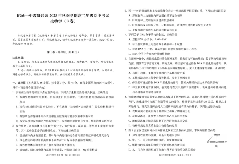 云南省昭通一中教研联盟2025-2026学年高二上学期期中考试生物（B卷）试题_251218云南省昭通一中教研联盟2025-2026学年高二上学期期中考试（A）（B）试卷