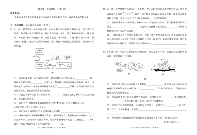 云南省昭通一中教研联盟2025-2026学年高二上学期期中考试生物（B卷）试题_251218云南省昭通一中教研联盟2025-2026学年高二上学期期中考试（A）（B）试卷