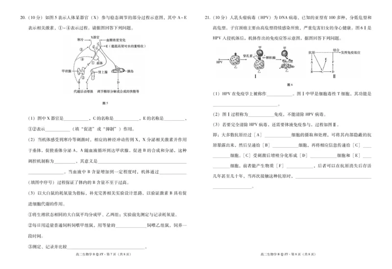 云南省昭通一中教研联盟2025-2026学年高二上学期期中考试生物（B卷）试题_251218云南省昭通一中教研联盟2025-2026学年高二上学期期中考试（A）（B）试卷