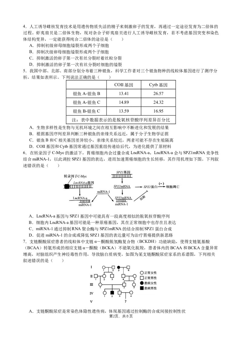 成都石室中学2025年高考适应性测试演练模拟考试生物_2024-2025高三（6-6月题库）_2024年12月试卷_1228四川省成都石室中学2025年高考适应性测试演练模拟考试（八省联考模拟）（全）