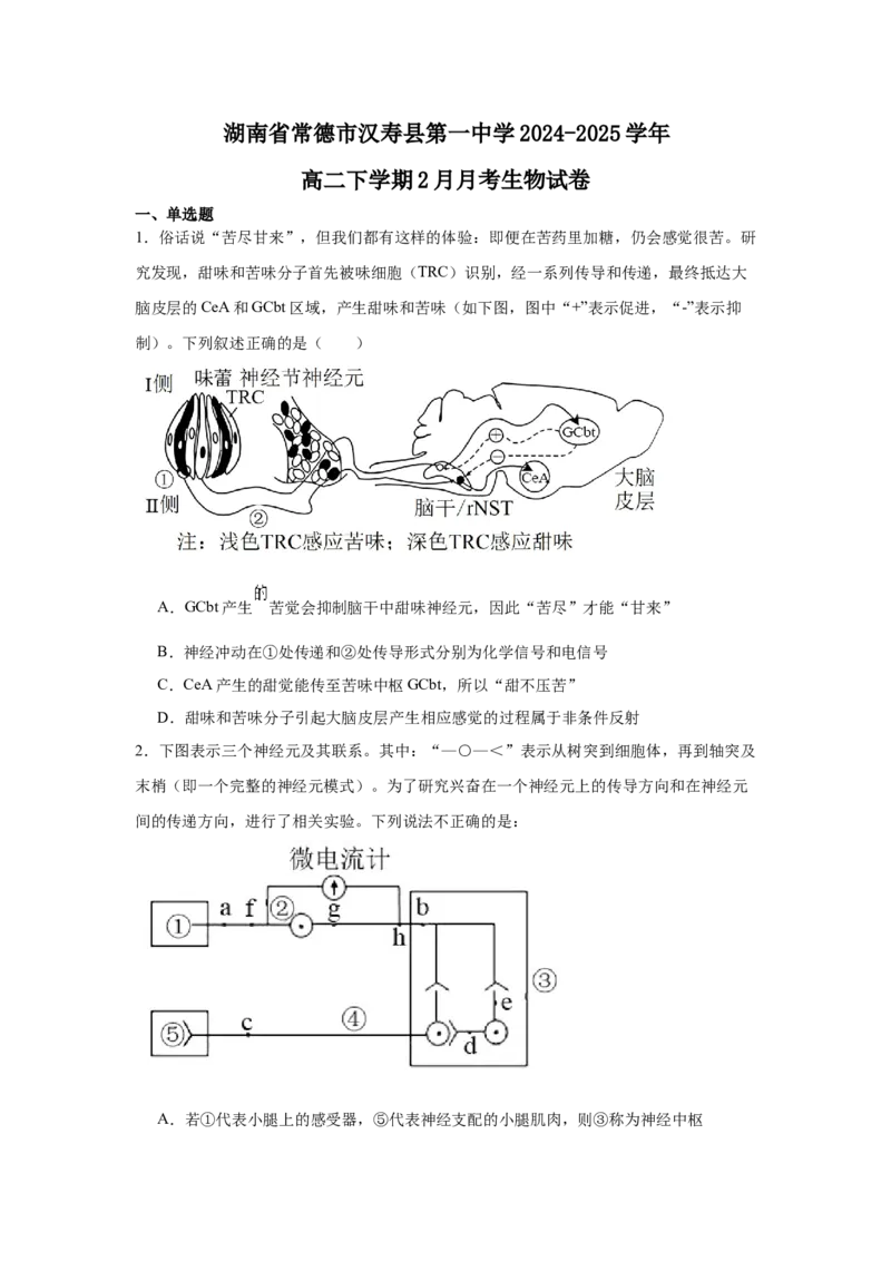 湖南省常德市汉寿县第一中学2024-2025学年高二下学期2月月考生物学试题（含答案）_2024-2025高二（7-7月题库）_2025年03月试卷