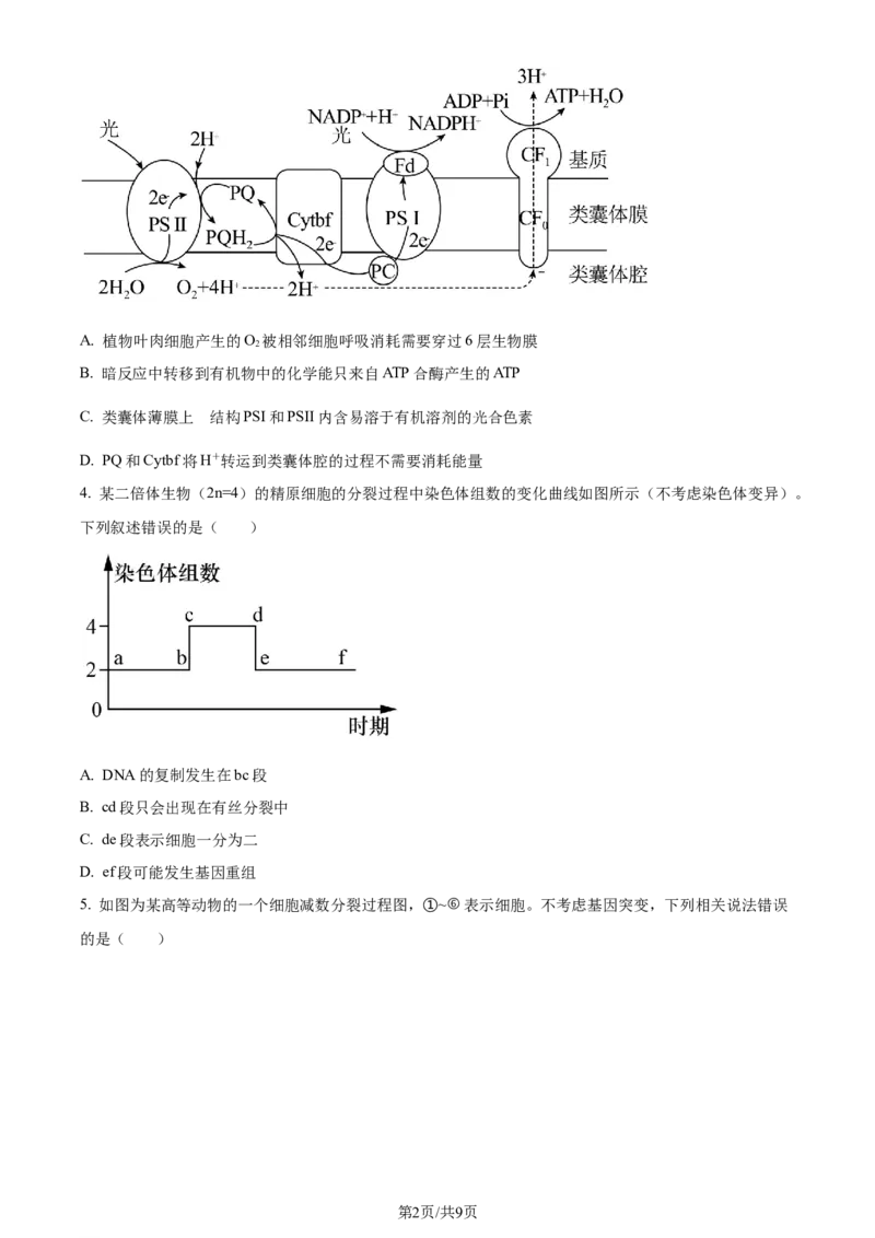 精品解析：2024届贵州省贵阳市一中高三一模生物试题（原卷版）_2024年3月_013月合集_2024届贵州省贵阳市第一中学高三下学期一模考试