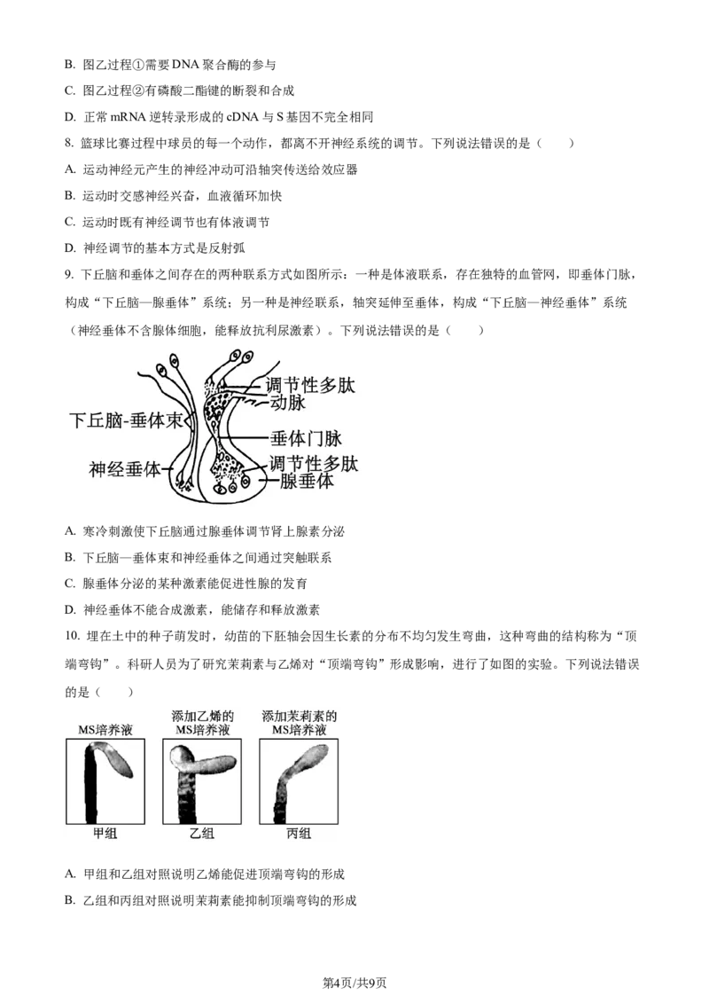 精品解析：2024届贵州省贵阳市一中高三一模生物试题（原卷版）_2024年3月_013月合集_2024届贵州省贵阳市第一中学高三下学期一模考试