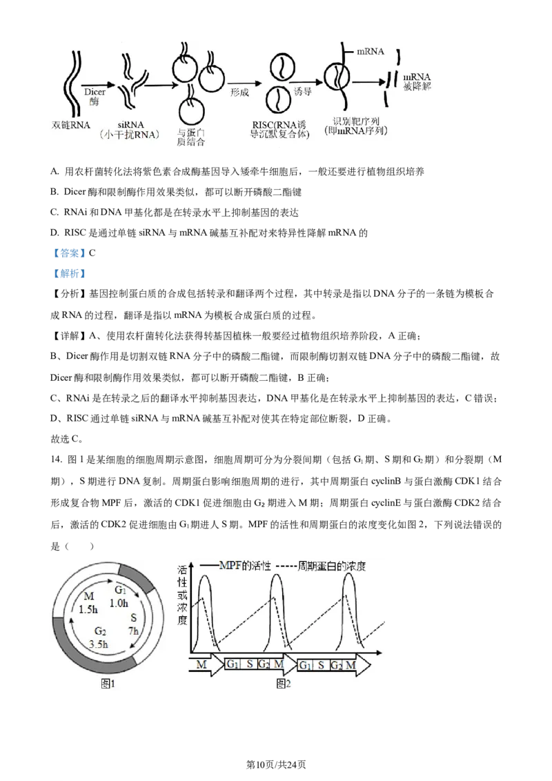 精品解析：辽宁省实验中学2023-2024学年高三上学期期中生物试题（解析版）(1)_2023年11月_0211月合集_2024届辽宁省实验中学高三上学期期中考试
