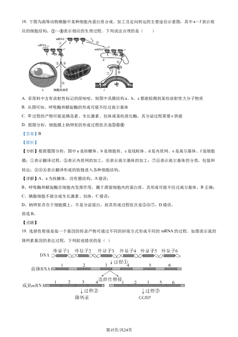 精品解析：辽宁省实验中学2023-2024学年高三上学期期中生物试题（解析版）(1)_2023年11月_0211月合集_2024届辽宁省实验中学高三上学期期中考试