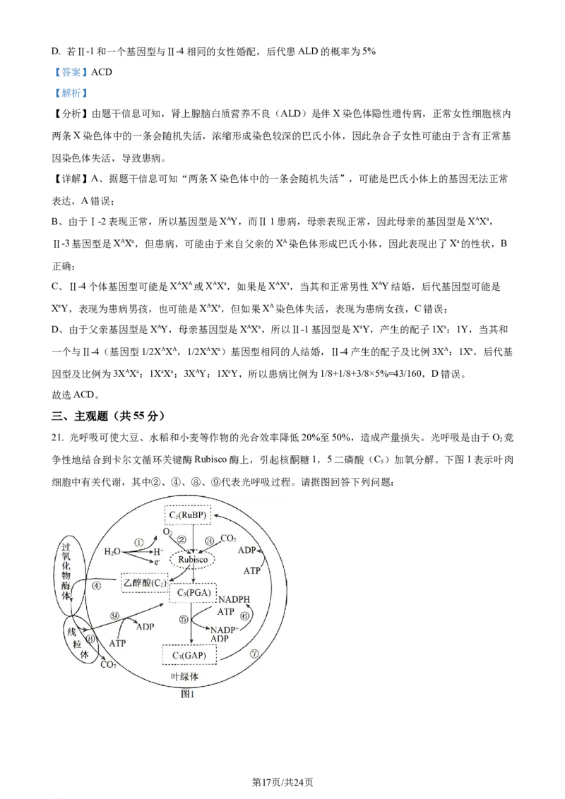精品解析：辽宁省实验中学2023-2024学年高三上学期期中生物试题（解析版）(1)_2023年11月_0211月合集_2024届辽宁省实验中学高三上学期期中考试