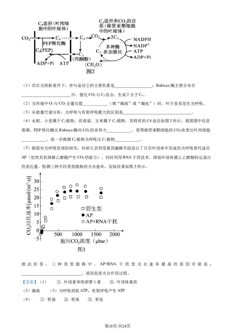 精品解析：辽宁省实验中学2023-2024学年高三上学期期中生物试题（解析版）(1)_2023年11月_0211月合集_2024届辽宁省实验中学高三上学期期中考试