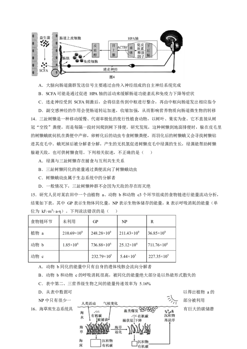 江西省丰城中学2024-2025学年高二下学期3月第一次段考试题生物Word版含答案_2024-2025高二（7-7月题库）_2025年03月试卷_0331江西省丰城中学2024-2025学年高二下学期3月第一次段考试题