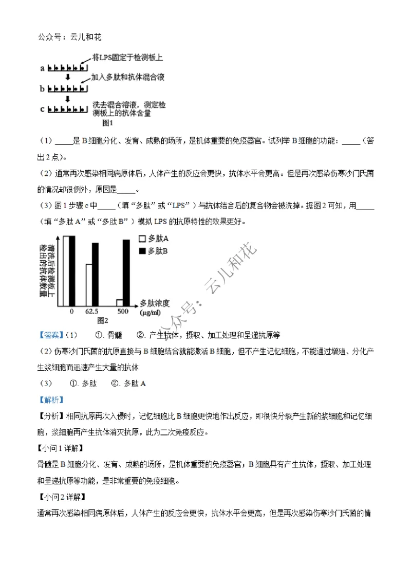 广西合浦县2024-2025学年高二上学期期中检测生物试题Word版含解析_2024-2025高二（7-7月题库）_2024年12月试卷_1227广西北海市合浦县2024-2025学年高二上学期期中检测